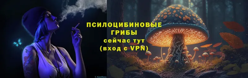 мега рабочий сайт  Новоаннинский  Псилоцибиновые грибы Psilocybe 